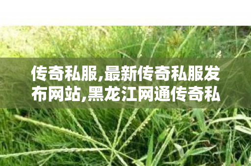 传奇私服,最新传奇私服发布网站,黑龙江网通传奇私服,1.95合击传奇,黑龙江网通传奇私服