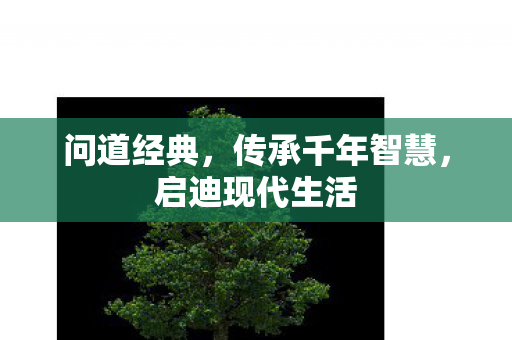 问道经典，传承千年智慧，启迪现代生活