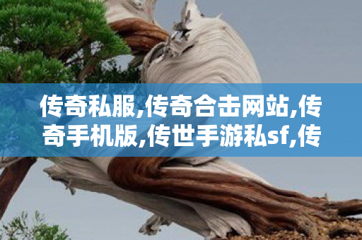 传奇私服,传奇合击网站,传奇手机版,传世手游私sf,传奇手机版