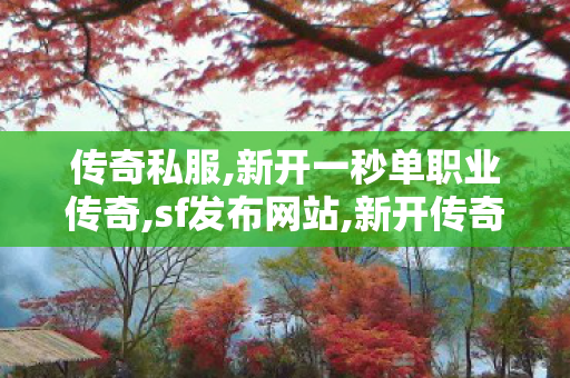 传奇私服,新开一秒单职业传奇,sf发布网站,新开传奇世界私服网站发布网,sf发布网站
