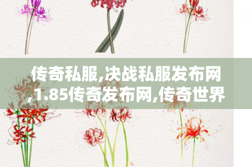 传奇私服,决战私服发布网,1.85传奇发布网,传奇世界中变刚开一秒,1.85传奇发布网
