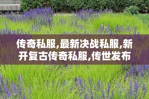传奇私服,最新决战私服,新开复古传奇私服,传世发布站,新开复古传奇私服