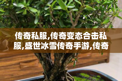 传奇私服,传奇变态合击私服,盛世冰雪传奇手游,传奇世界私服,传世私服网,盛世冰雪传奇手游