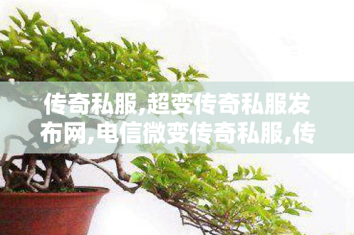 传奇私服,超变传奇私服发布网,电信微变传奇私服,传奇世界私,电信微变传奇私服