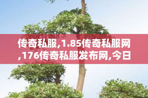 传奇私服,1.85传奇私服网,176传奇私服发布网,今日新开传世sf发布网,176传奇私服发布网