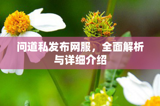 问道私发布网服，全面解析与详细介绍