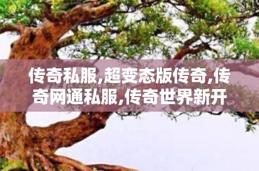 传奇私服,超变态版传奇,传奇网通私服,传奇世界新开sf,传奇网通私服