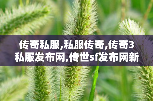 传奇私服,私服传奇,传奇3私服发布网,传世sf发布网新服,传奇3私服发布网