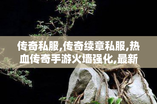 传奇私服,传奇续章私服,热血传奇手游火墙强化,最新开合击传奇,热血传奇手游火墙强化