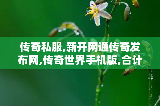 传奇私服,新开网通传奇发布网,传奇世界手机版,合计传奇,传奇世界手机版