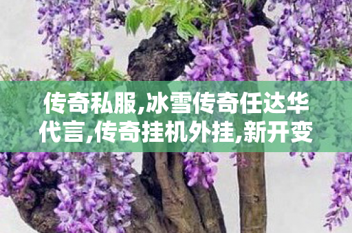 传奇私服,冰雪传奇任达华代言,传奇挂机外挂,新开变态传奇发布,传奇挂机外挂