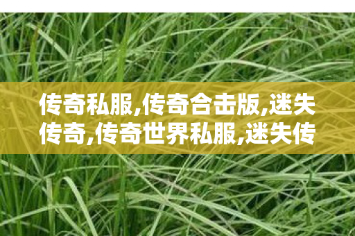 传奇私服,传奇合击版,迷失传奇,传奇世界私服,迷失传奇