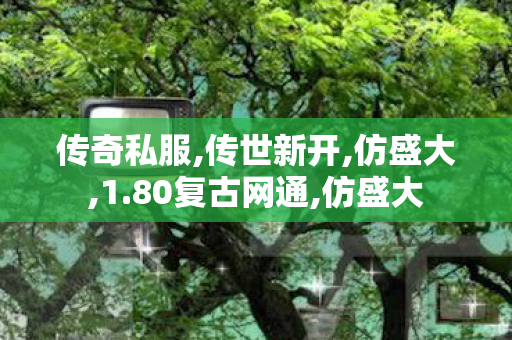 传奇私服,传世新开,仿盛大,1.80复古网通,仿盛大
