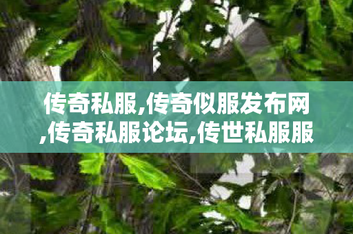 传奇私服,传奇似服发布网,传奇私服论坛,传世私服服务端,传奇私服论坛