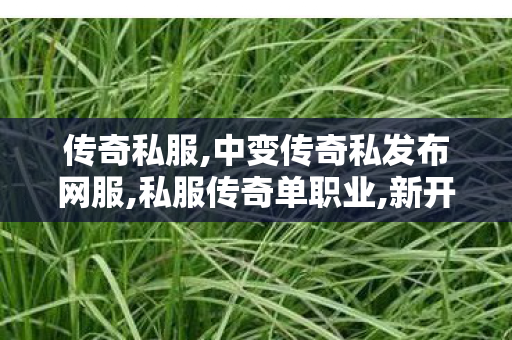 传奇私服,中变传奇私发布网服,私服传奇单职业,新开传奇世界网站,私服传奇单职业