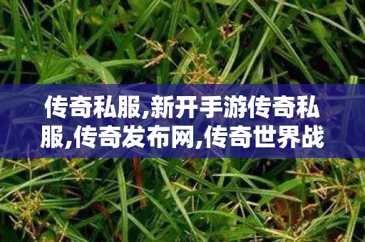 传奇私服,新开手游传奇私服,传奇发布网,传奇世界战神复古,传奇发布网