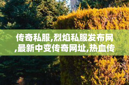 传奇私服,烈焰私服发布网,最新中变传奇网址,热血传奇sf,最新中变传奇网址