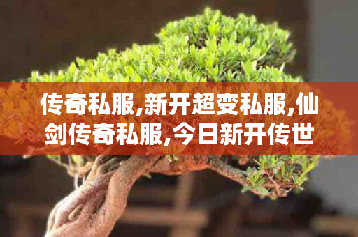 传奇私服,新开超变私服,仙剑传奇私服,今日新开传世网,仙剑传奇私服