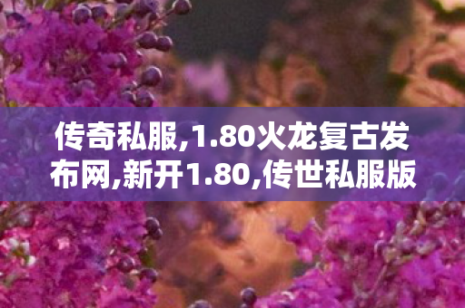 传奇私服,1.80火龙复古发布网,新开1.80,传世私服版本购买,新开1.80