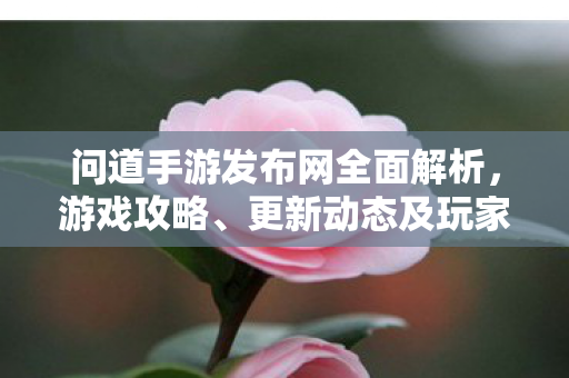 问道手游发布网全面解析，游戏攻略、更新动态及玩家互动平台