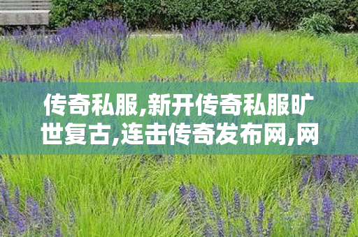 传奇私服,新开传奇私服旷世复古,连击传奇发布网,网通私服发布网,连击传奇发布网