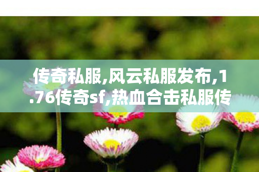 传奇私服,风云私服发布,1.76传奇sf,热血合击私服传奇,1.76传奇sf