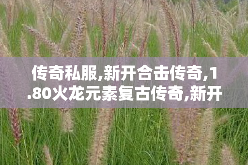 传奇私服,新开合击传奇,1.80火龙元素复古传奇,新开传世sif,1.80火龙元素复古传奇