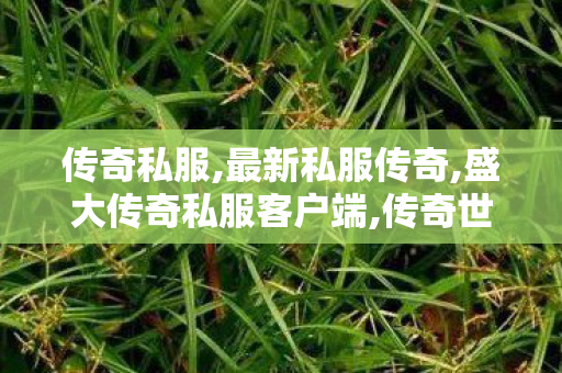传奇私服,最新私服传奇,盛大传奇私服客户端,传奇世界私服发布网最新,盛大传奇私服客户端