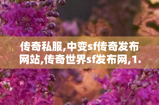 传奇私服,中变sf传奇发布网站,传奇世界sf发布网,1.85复古传奇私服,传奇世界sf发布网