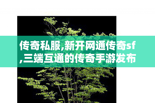传奇私服,新开网通传奇sf,三端互通的传奇手游发布网站,新开传奇最大网站,三端互通的传奇手游发布网站