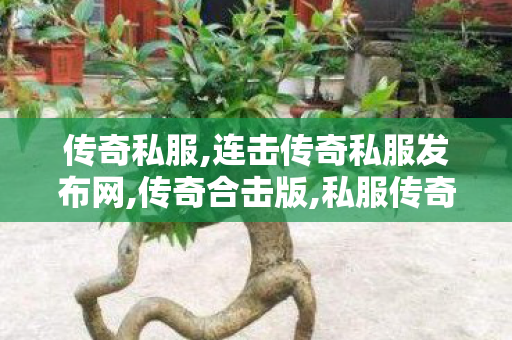 传奇私服,连击传奇私服发布网,传奇合击版,私服传奇我本沉默,传奇合击版