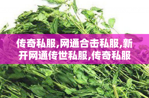 传奇私服,网通合击私服,新开网通传世私服,传奇私服服务器,新开网通传世私服