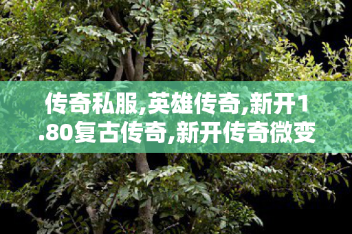 传奇私服,英雄传奇,新开1.80复古传奇,新开传奇微变网站,新开1.80复古传奇