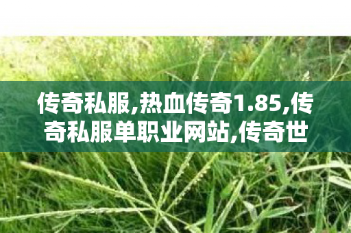 传奇私服,热血传奇1.85,传奇私服单职业网站,传奇世界私服发布网,传奇私服单职业网站