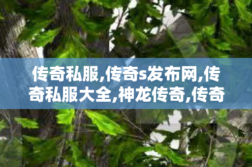 传奇私服,传奇s发布网,传奇私服大全,神龙传奇,传奇私服大全