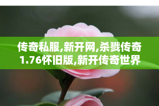 传奇私服,新开网,杀戮传奇1.76怀旧版,新开传奇世界私服,杀戮传奇1.76怀旧版