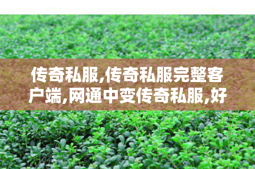 传奇私服,传奇私服完整客户端,网通中变传奇私服,好玩的私服传奇,网通中变传奇私服