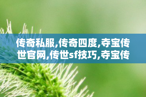 传奇私服,传奇四度,夺宝传世官网,传世sf技巧,夺宝传世官网