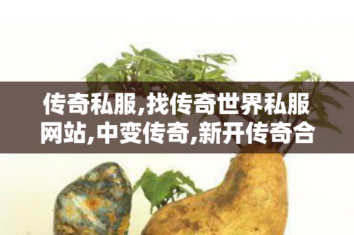 传奇私服,找传奇世界私服网站,中变传奇,新开传奇合击私服,中变传奇