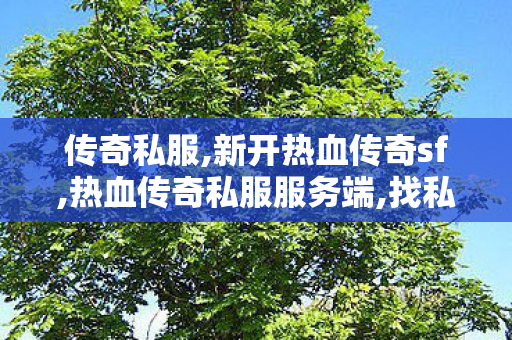 传奇私服,新开热血传奇sf,热血传奇私服服务端,找私服网,热血传奇私服服务端