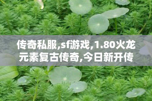 传奇私服,sf游戏,1.80火龙元素复古传奇,今日新开传奇世界私服,1.80火龙元素复古传奇