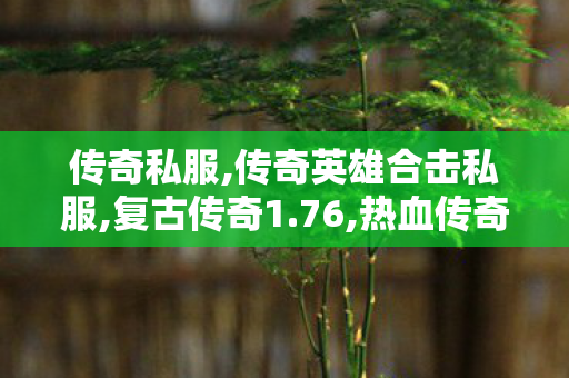 传奇私服,传奇英雄合击私服,复古传奇1.76,热血传奇2私服发布网,复古传奇1.76