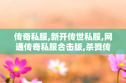 传奇私服,新开传世私服,网通传奇私服合击版,杀戮传奇1.76怀旧版,网通传奇私服合击版
