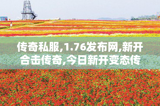 传奇私服,1.76发布网,新开合击传奇,今日新开变态传奇私服,新开合击传奇