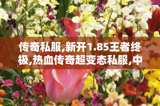 传奇私服,新开1.85王者终极,热血传奇超变态私服,中变传世sf,热血传奇超变态私服