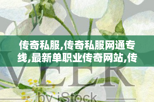 传奇私服,传奇私服网通专线,最新单职业传奇网站,传世界私服发布网,最新单职业传奇网站