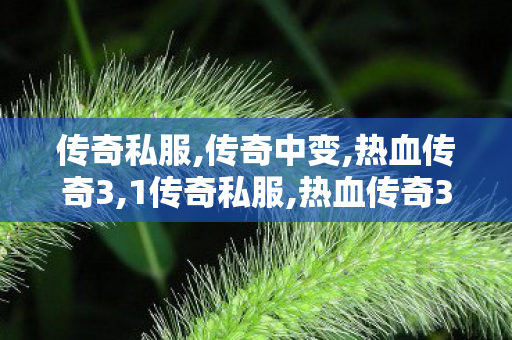 传奇私服,传奇中变,热血传奇3,1传奇私服,热血传奇3