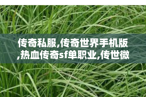 传奇私服,传奇世界手机版,热血传奇sf单职业,传世微变私服,热血传奇sf单职业