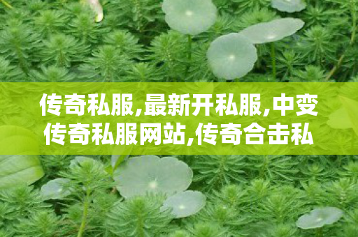 传奇私服,最新开私服,中变传奇私服网站,传奇合击私服发布网站,中变传奇私服网站