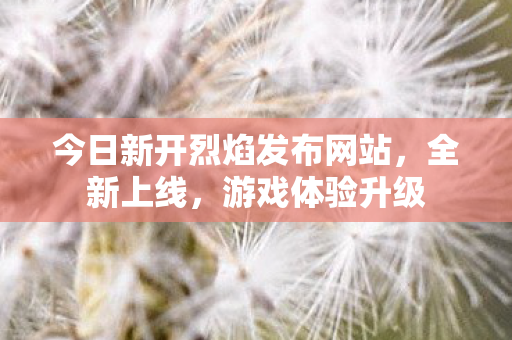今日新开烈焰发布网站，全新上线，游戏体验升级